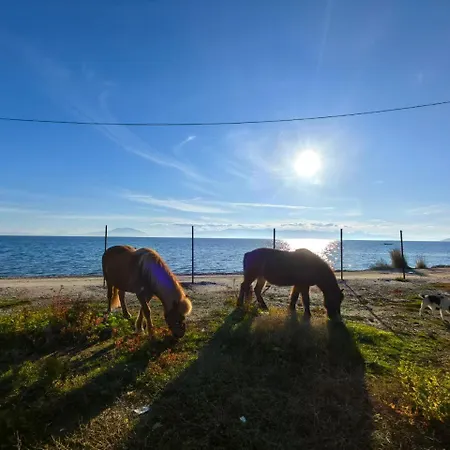 Paradies Villa Káto Lekhónia