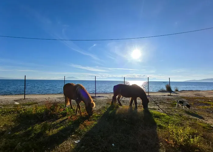 Paradies Villa Káto Lekhónia